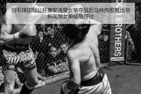 羽毛球印尼公开赛安洗莹女单夺冠后马林伤愈复出与新周期女单格局探讨
